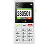 DORO HandleEasy 330 weiß + Wahlkasten mit Fototasten MemoryPlus 309dp
