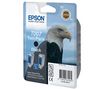 EPSON 2er-Pack Tintenpatronen T007 - Schwarz