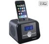 THOMSON CR308I iPod/iPhone clock radio + 4 LR03 (AAA) Alcaline Xtreme Power Batterien + 2 gratis
